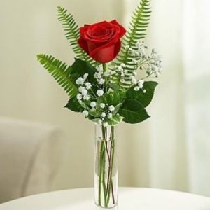 Single Rose in Vase with Greenery